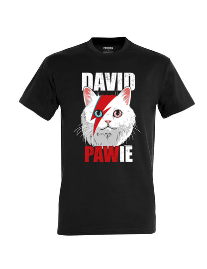 David Pawie