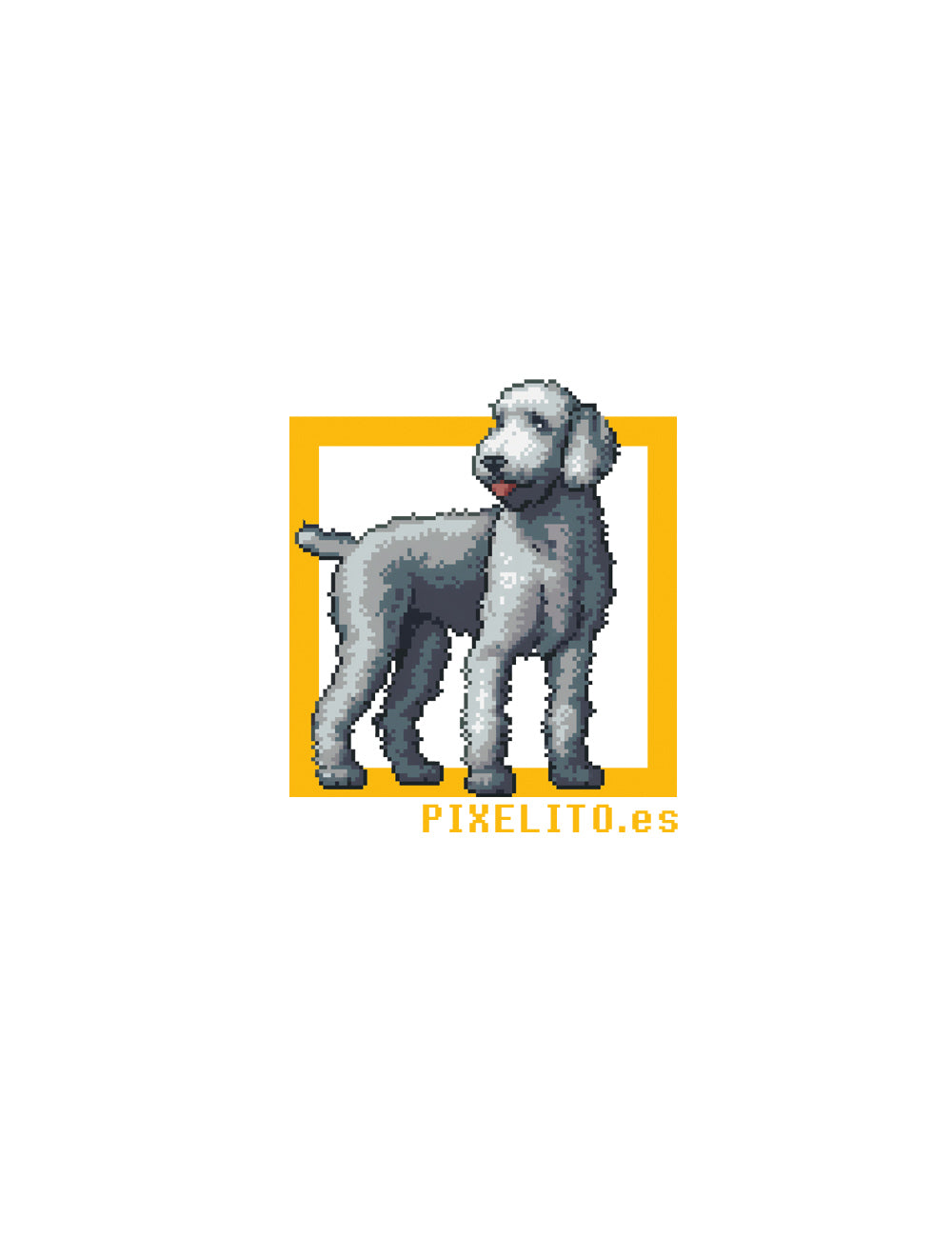 Bedlington terrier-azul - 021PX