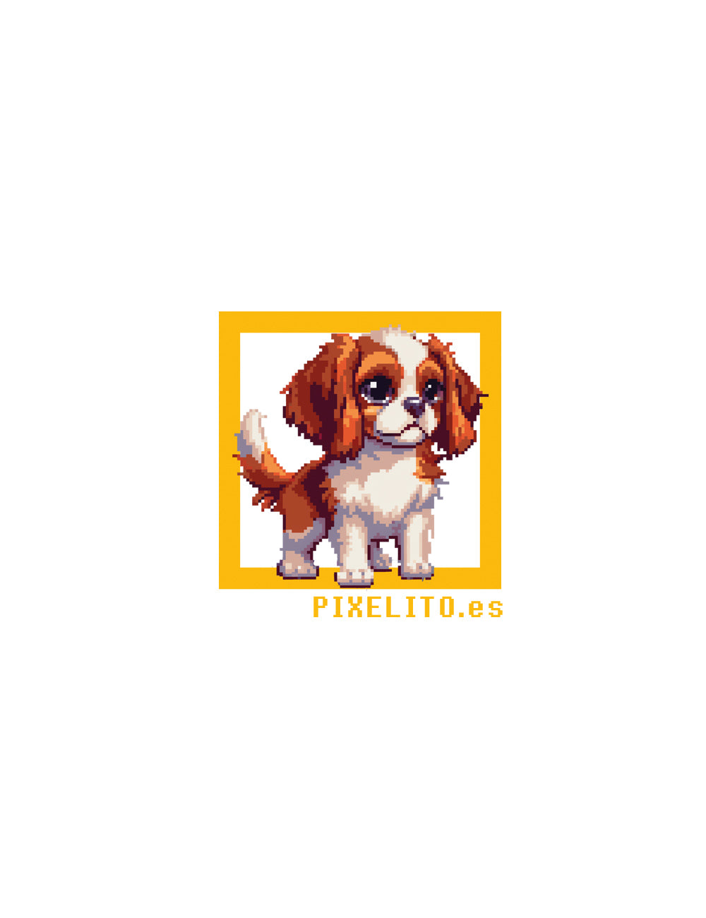 Cavalier King Charles spaniel - 030PX