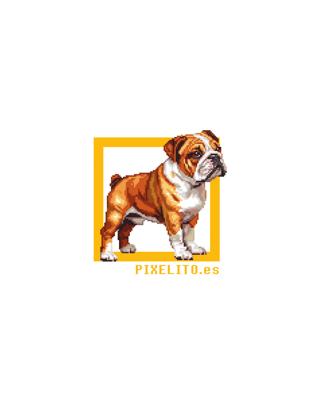 Bulldog Frances - 026PX