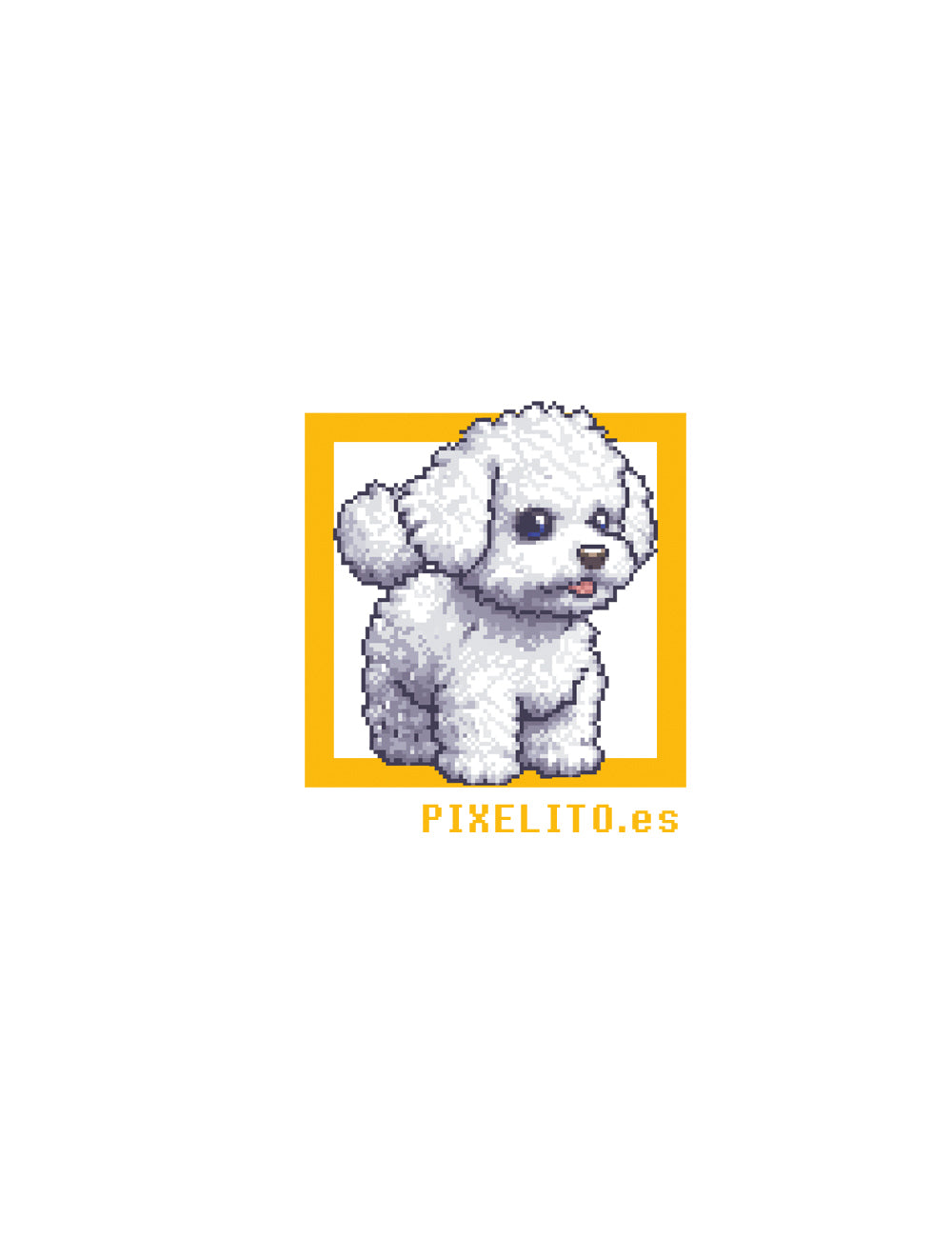 Bichón frisé - 022PX