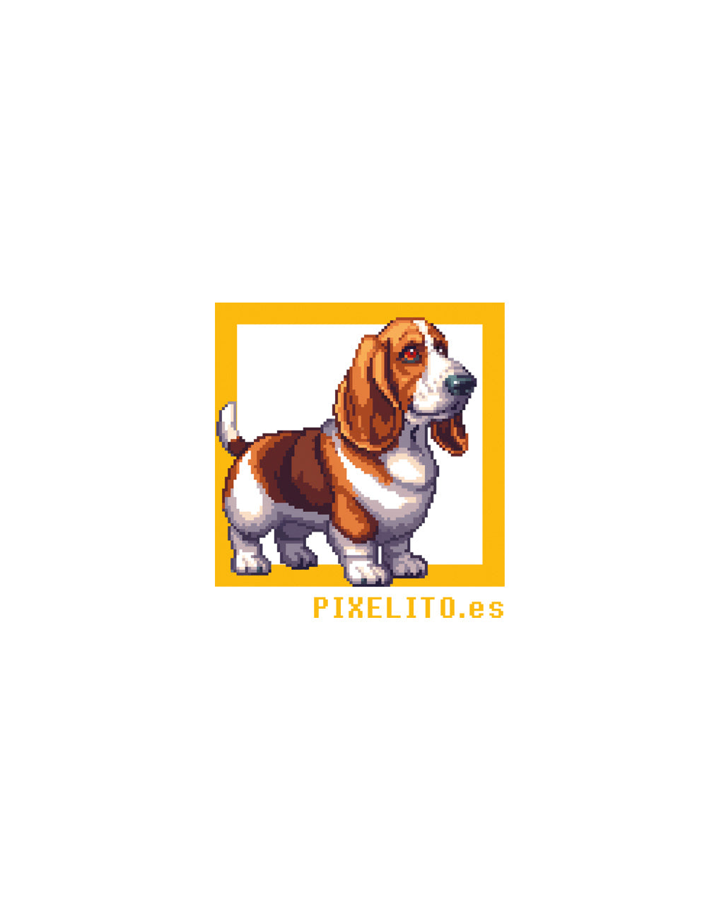 Basset hound-marron-blanco - 019PX