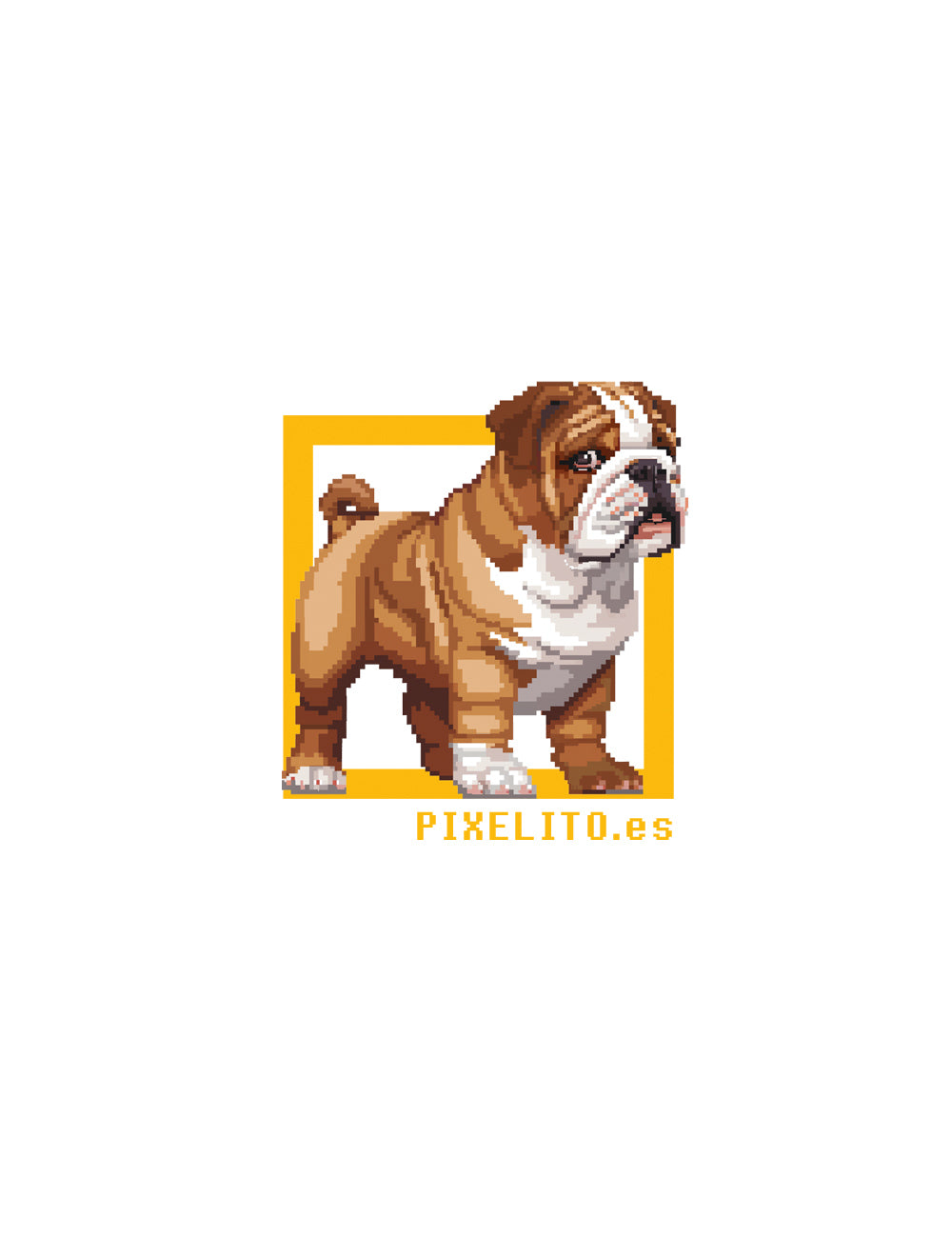 Bulldog Inglés - 027PX